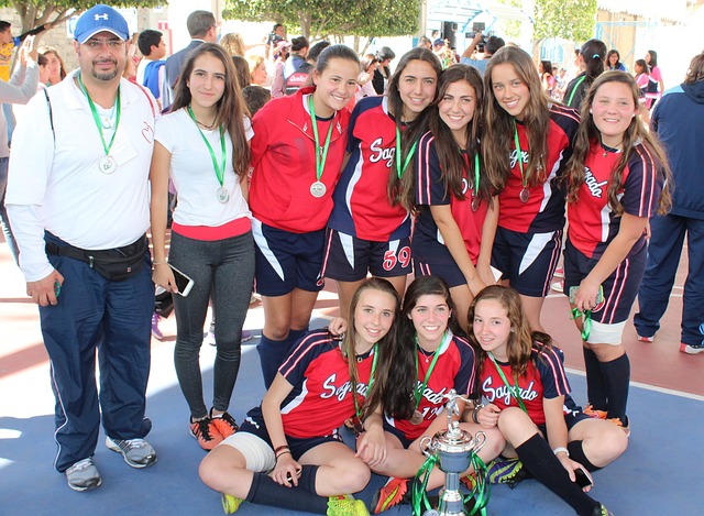 西甲的整体 西甲的整体