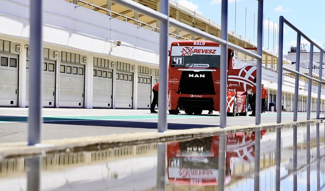 还能借助个 还能借助个