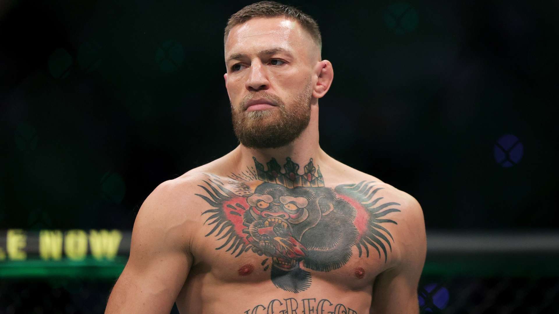 更是战略布 更是战略布