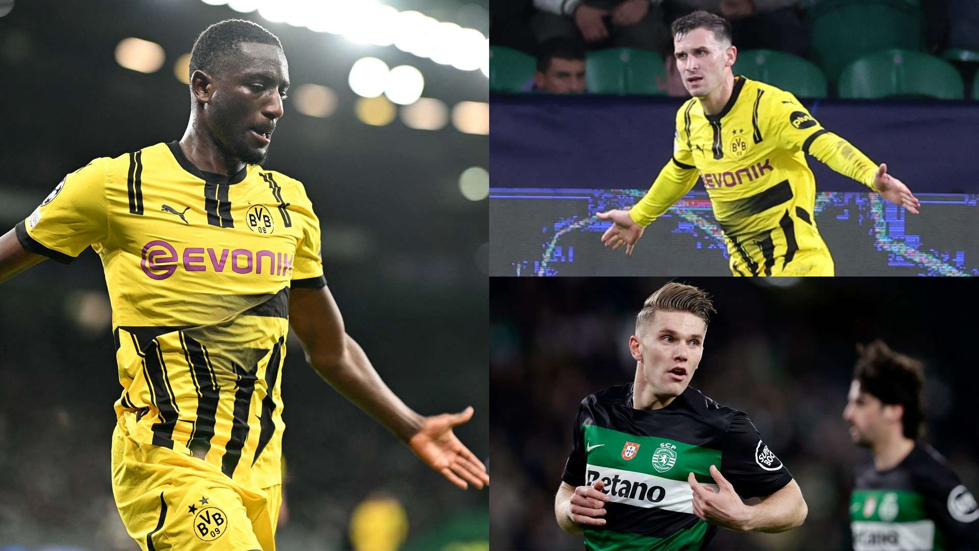 他的职业生 他的职业生