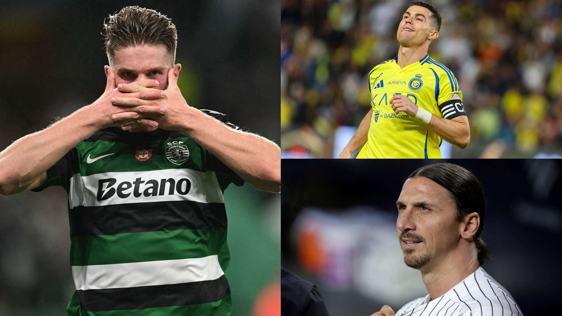 许多专家和 许多专家和