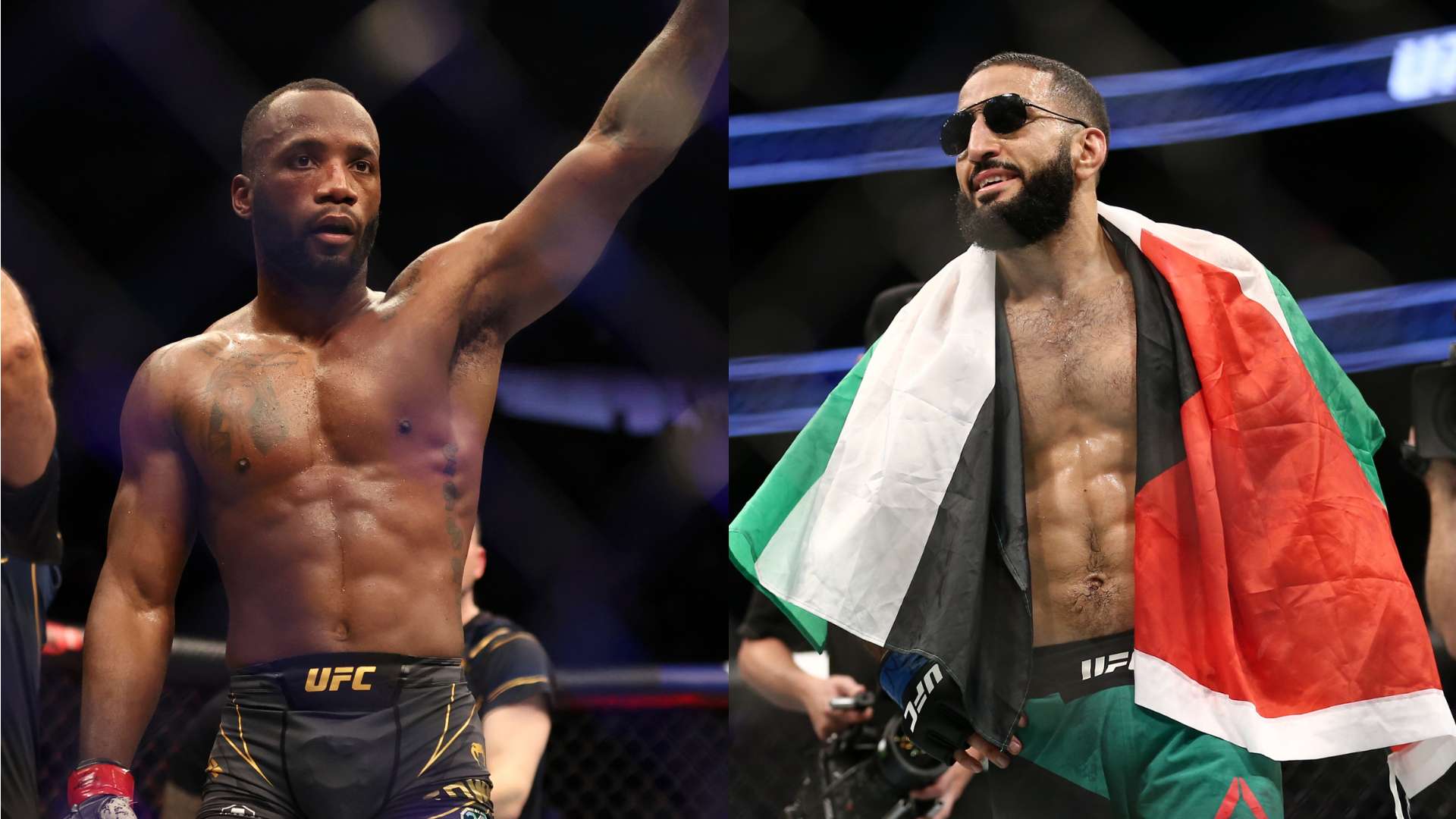 托迪博的實 托迪博的實