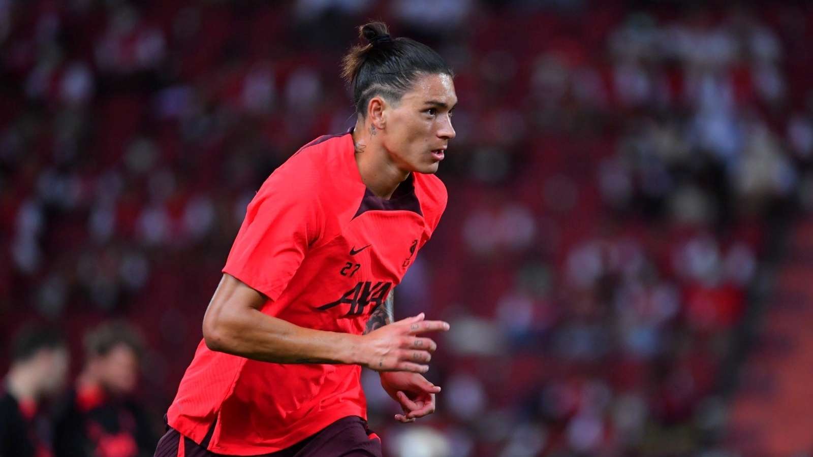 解密賴斯的 解密賴斯的